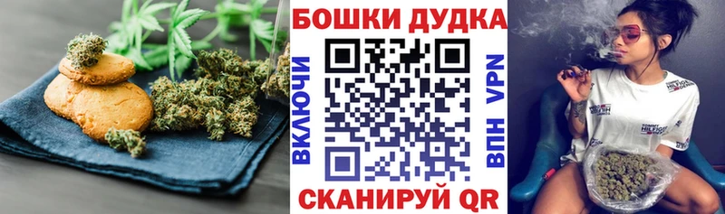 Canna-Cookies конопля  Среднеколымск 