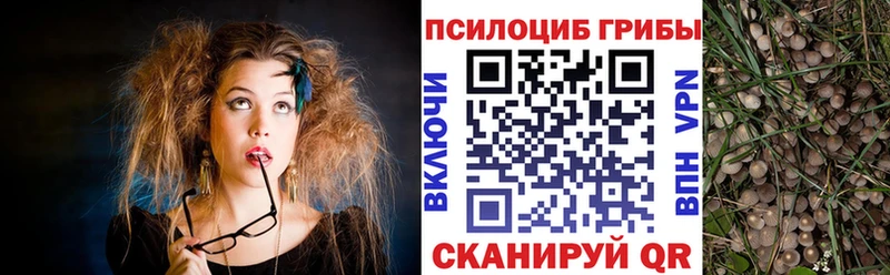 Галлюциногенные грибы Magic Shrooms  Среднеколымск 
